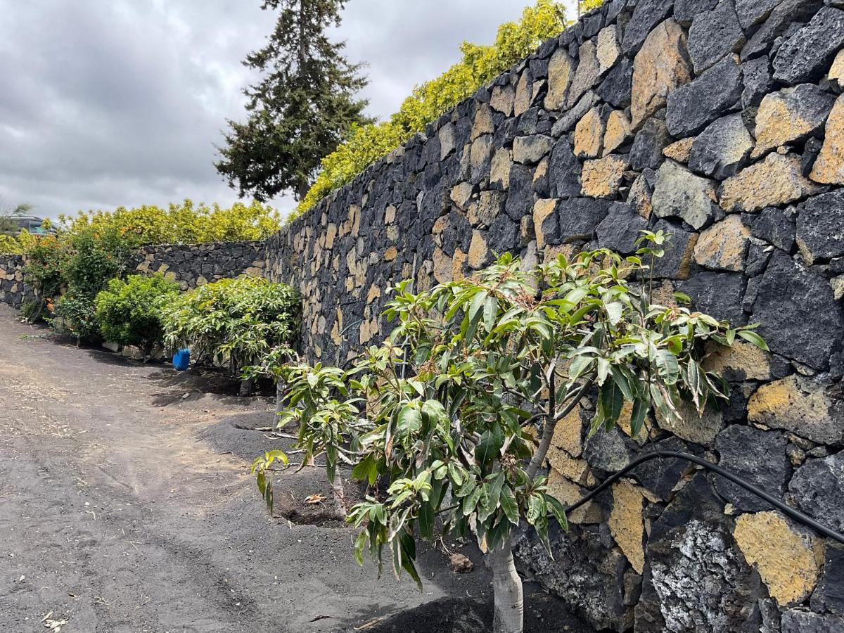 Casa Cueva De Las Palomas 1 Las Manchas  外观 照片